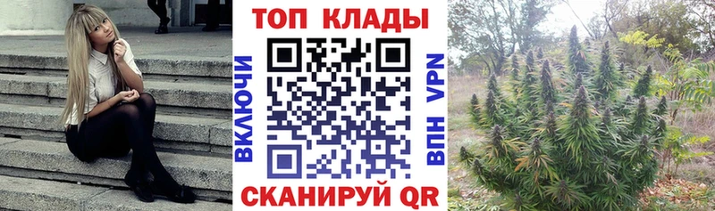 Магазин наркотиков Асино Псилоцибиновые грибы  КОКАИН  ГАШ  Каннабис  А ПВП 