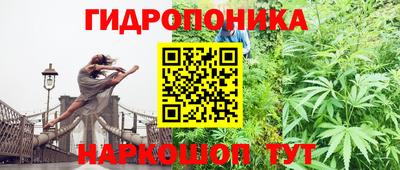 прущие крисы Абинск