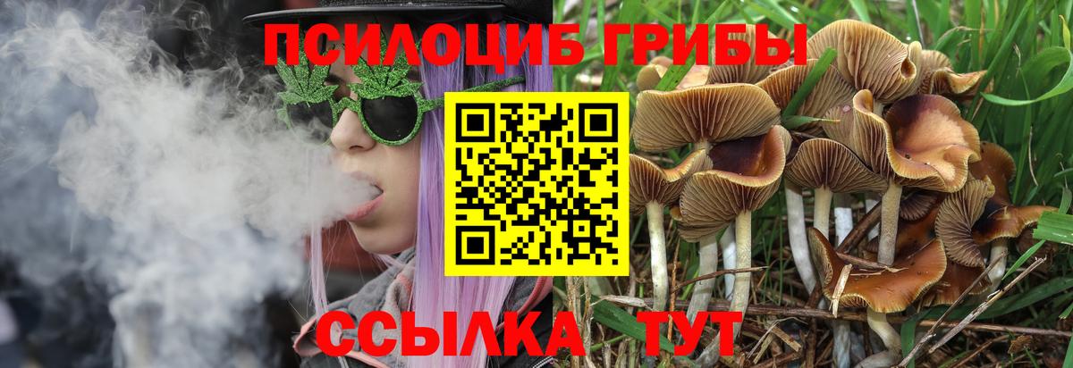 Галлюциногенные грибы ЛСД  Вход с VPN  Асино 