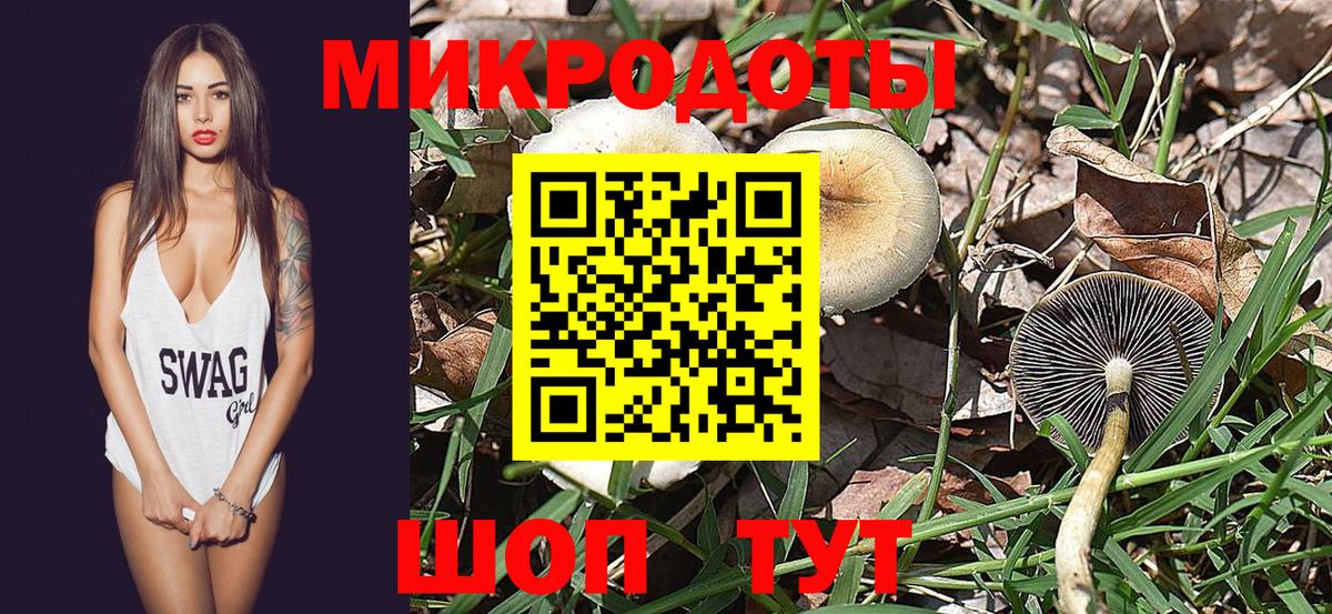 Галлюциногенные грибы GOLDEN TEACHER  Галлюциногенные грибы Cubensis  Асино 